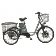 ТРИЦИКЛ E-MOTIONS KANGOO 500W