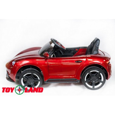 Porsche Sport QLS 8988 красный (краска) Porsche Sport QLS 8988 красный (краска)