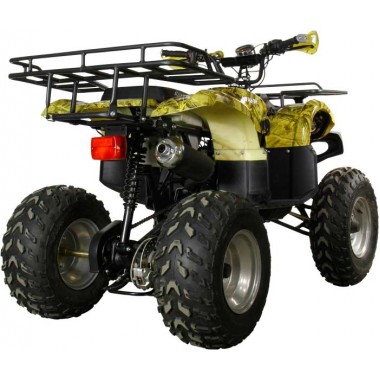 Квадроцикл Avantis Hunter 250 (2017) Квадроцикл Avantis Hunter 250 (2017)