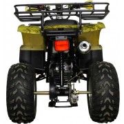 Квадроцикл Avantis Hunter 250 (2017)