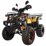 Квадроцикл Avantis Hunter 250 Lux (2017)