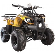 Квадроцикл Avantis Hunter 250 Lux (2017)