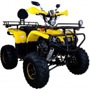 Квадроцикл Avantis Patriot Lux