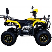 Квадроцикл Avantis Patriot Lux