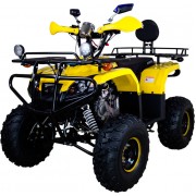 Квадроцикл Avantis Patriot Lux