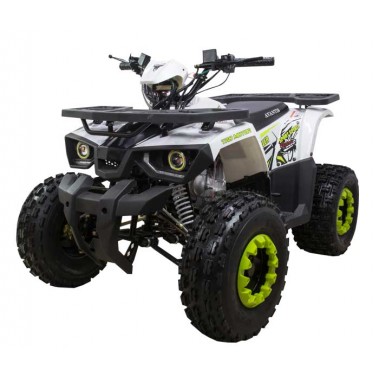 Квадроцикл Avantis Hunter-LUX New (2018) Квадроцикл Avantis Hunter-LUX New (2018)