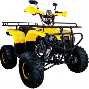 Квадроцикл Avantis Patriot M