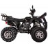 Квадроцикл Avantis Hunter 250 Premium (2017) Квадроцикл Avantis Hunter 250 Premium (2017)