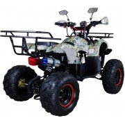 Квадроцикл Avantis Hunter 8M (модель 2017 года)