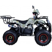 Квадроцикл Avantis Hunter 8M (модель 2017 года)