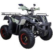 Квадроцикл Avantis Hunter 150