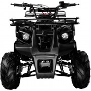 Квадроцикл Avantis Hunter 8 Lite 50 кубов (модель 2018 года)