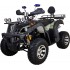 Квадроцикл Avantis Hunter 200 Premium Квадроцикл Avantis Hunter 200 Premium