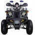 Квадроцикл Avantis Hunter 200 Premium Квадроцикл Avantis Hunter 200 Premium
