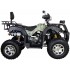Квадроцикл Avantis Hunter 200 Premium Квадроцикл Avantis Hunter 200 Premium