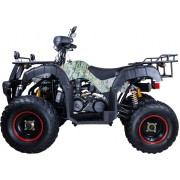 Квадроцикл Avantis Hunter 200 LUX