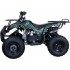 Квадроцикл ATV Classic 8 125 кубов Квадроцикл ATV Classic 8 125 кубов