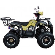 Квадроцикл Avantis Hunter 8+ 50 кубов (модель 2018 года)