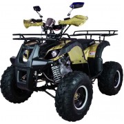 Квадроцикл Avantis Hunter 8+ 50 кубов (модель 2018 года)