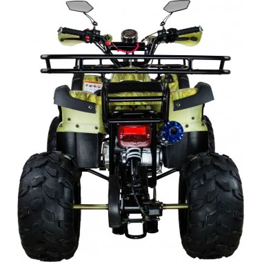 Квадроцикл Avantis Hunter 8+ 50 кубов (модель 2018 года) Квадроцикл Avantis Hunter 8+ 50 кубов (модель 2018 года)