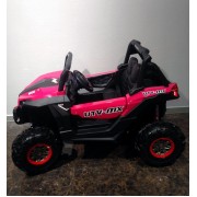 Багги ХМХ 603 4х4 розовый (краска)