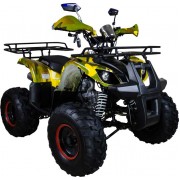 Квадроцикл Avantis Hunter 8 50 кубов (модель 2018 года)