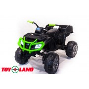 Квадроцикл 0909 Grizzly Next 4x4 черно-зеленый